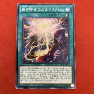 Eldlixir of White Destiny