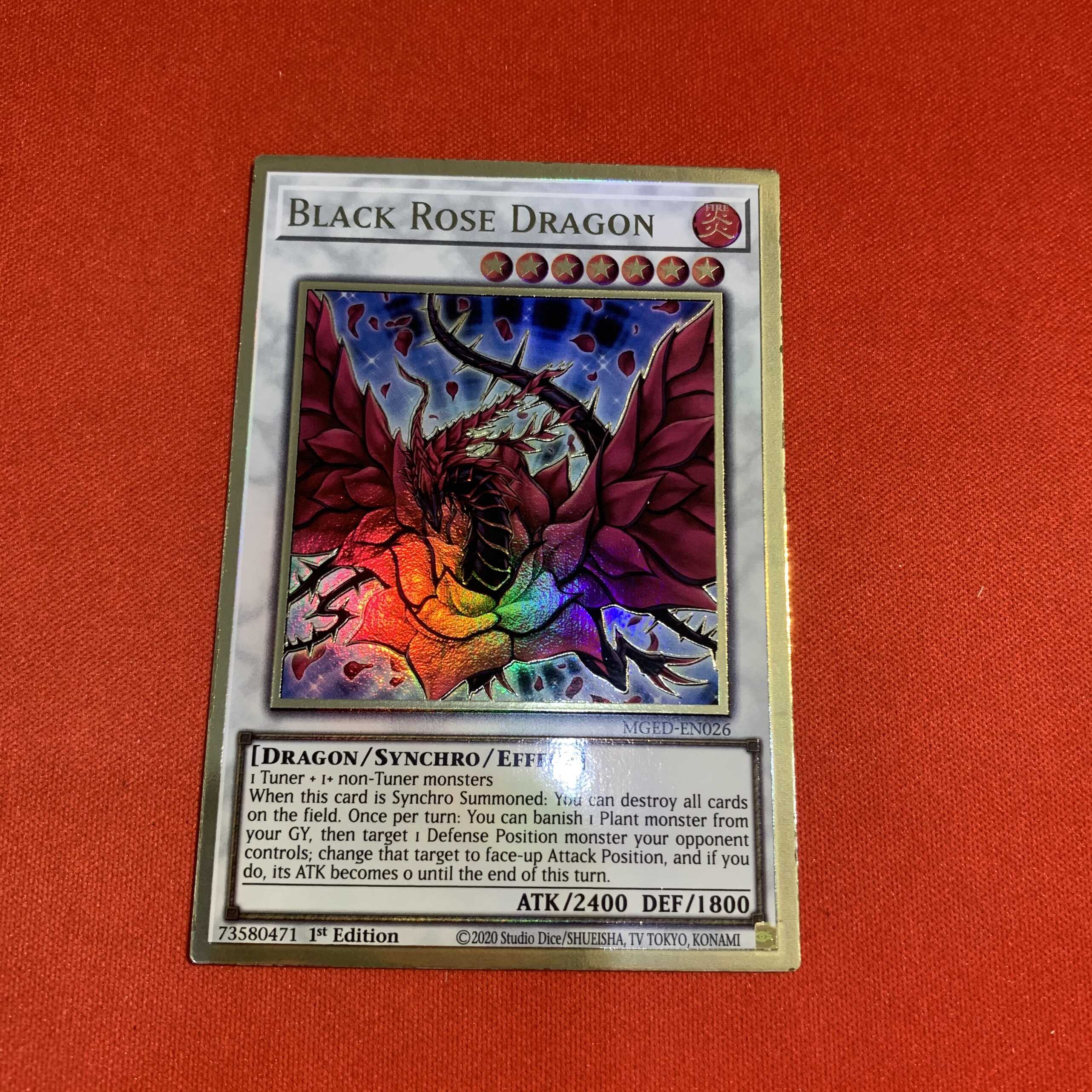 Black Rose Dragon8