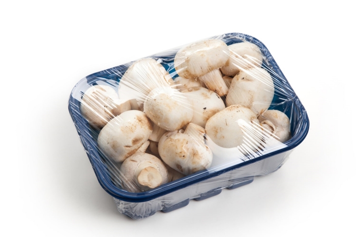 màng bọc thực phẩm pvc