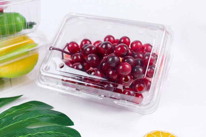 hộp nhựa dùng 1 lần