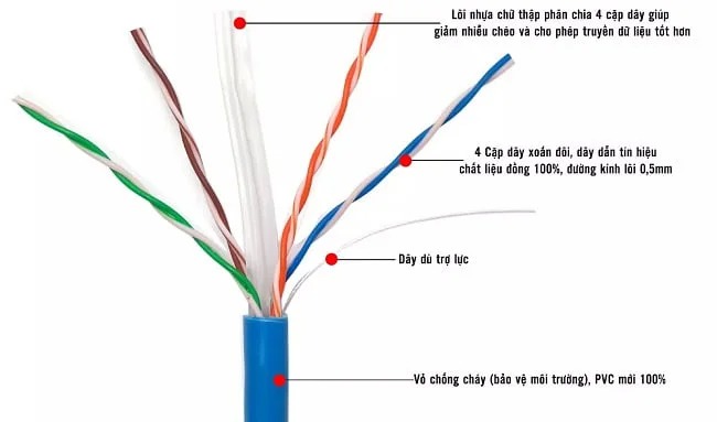 anh-mo-ta-day-mang-cat6e