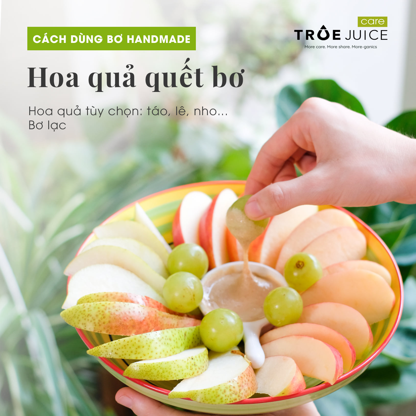 Hoa quả quết bơ lạc