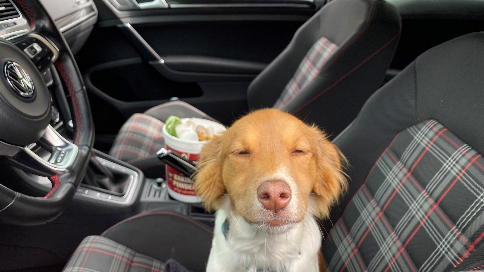 5 MẸO ĐƠN GIẢN BIẾN KHÔNG GIAN XE CỦA BẠN THƠM NGÁT