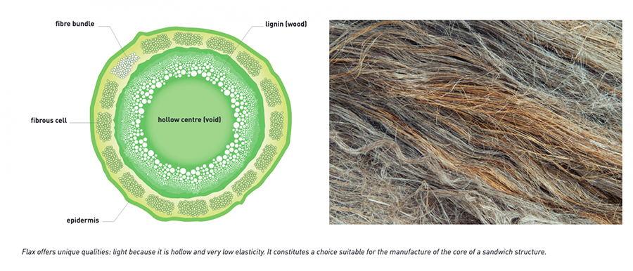 CÔNG NGHỆ MÀNG LOA FLAX CONE CỦA FOCAL: BƯỚC ĐỘT PHÁ TRONG ÂM THANH XE HƠI