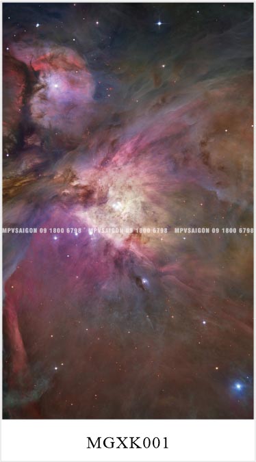 TỔNG HỢP MẪU SÀN NHÔM CHO XE MPV – CARNIVAL, V250, VILORAN