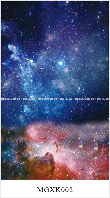 TỔNG HỢP MẪU SÀN NHÔM CHO XE MPV – CARNIVAL, V250, VILORAN