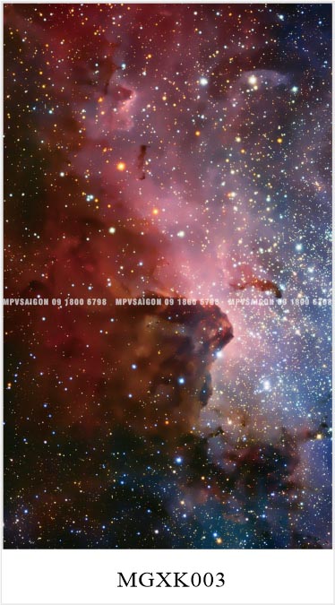 TỔNG HỢP MẪU SÀN NHÔM CHO XE MPV – CARNIVAL, V250, VILORAN