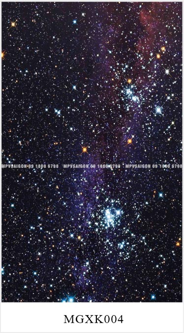 TỔNG HỢP MẪU SÀN NHÔM CHO XE MPV – CARNIVAL, V250, VILORAN