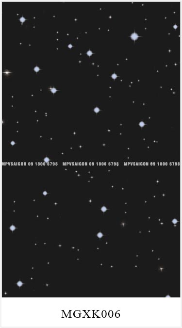 TỔNG HỢP MẪU SÀN NHÔM CHO XE MPV – CARNIVAL, V250, VILORAN