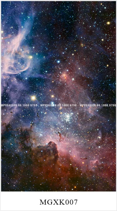 TỔNG HỢP MẪU SÀN NHÔM CHO XE MPV – CARNIVAL, V250, VILORAN