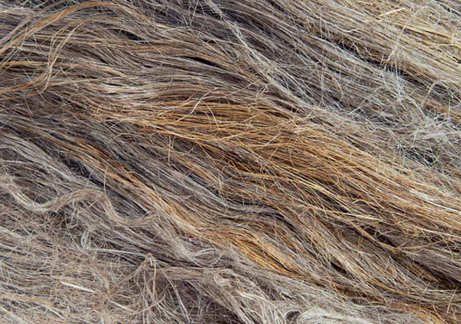 CÔNG NGHỆ MÀNG LOA FLAX CONE CỦA FOCAL: BƯỚC ĐỘT PHÁ TRONG ÂM THANH XE HƠI