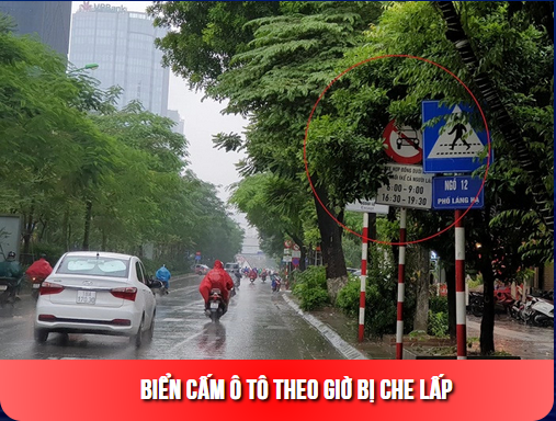 Vietmap live pro