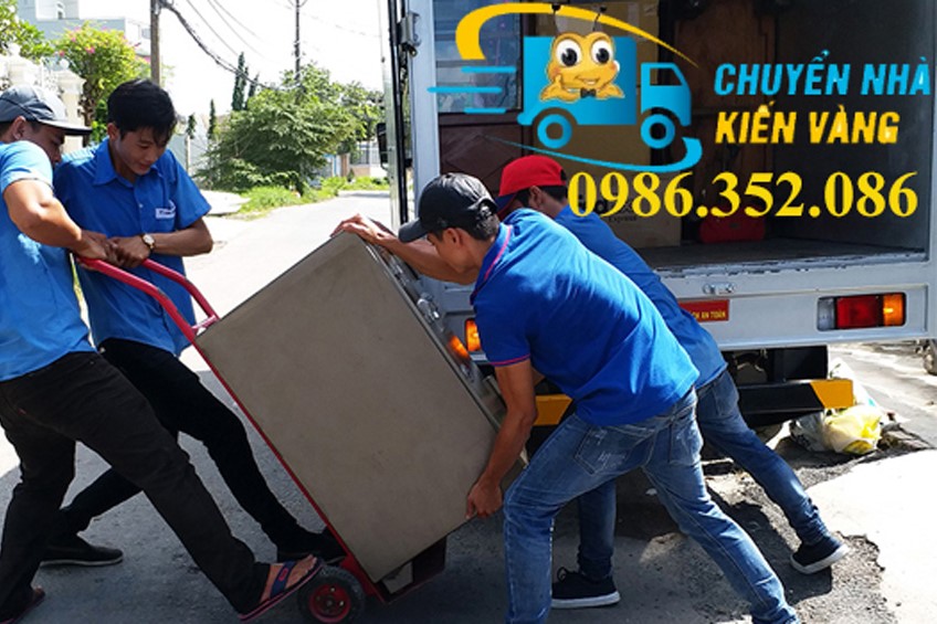 chuyển nhà kiến vàng