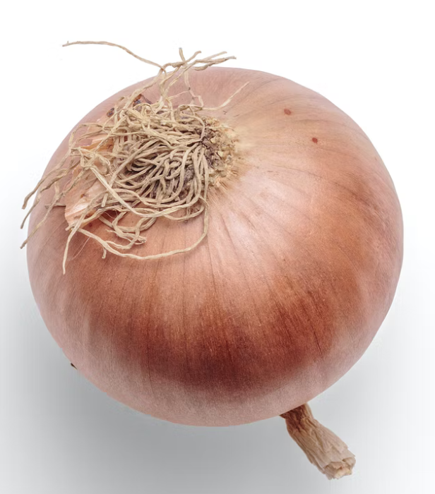 Khử mùi sơn trong nhà mới bằng hành tây