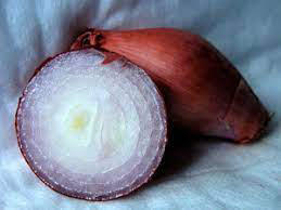 Sau khi sơn nhà bao lâu thì ở được