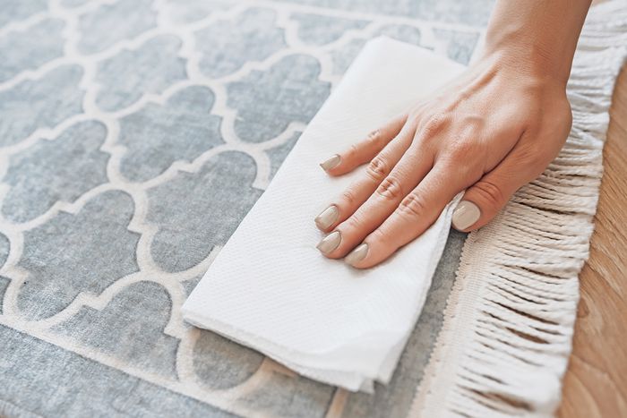 Phương pháp vệ sinh vết bẩn của thú cưng trên thảm - 2