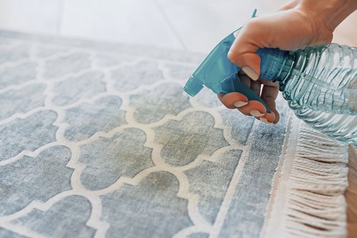 Phương pháp vệ sinh vết bẩn của thú cưng trên thảm - 3