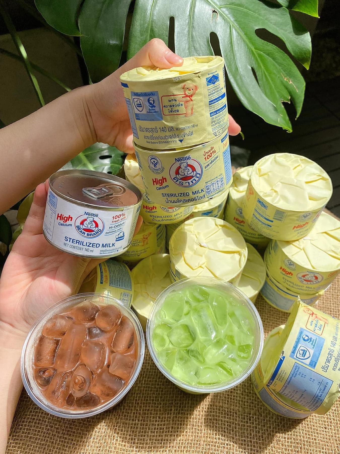 Sữa Gấu Thái Lan Nestle Vàng 140ml