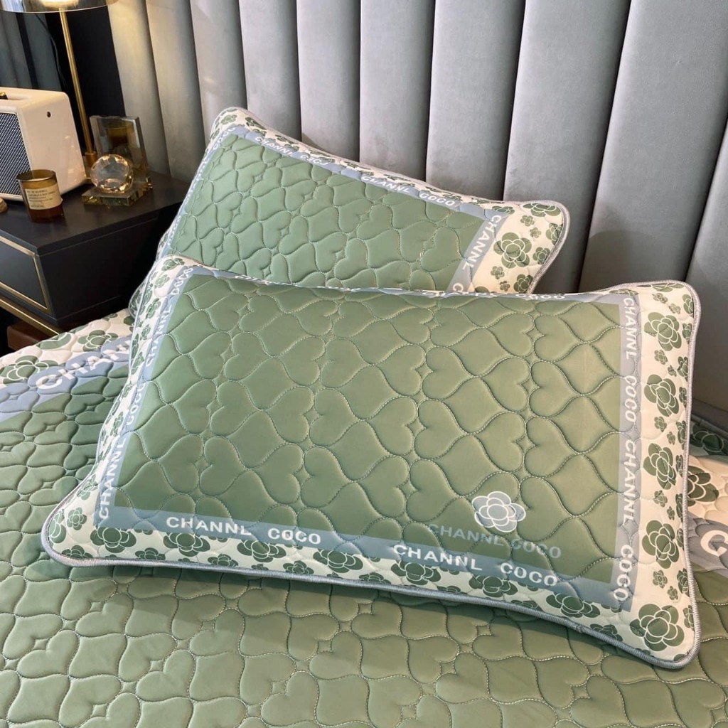 Cặp vỏ gối cao su non mềm mịn thoáng mát Coco 5D