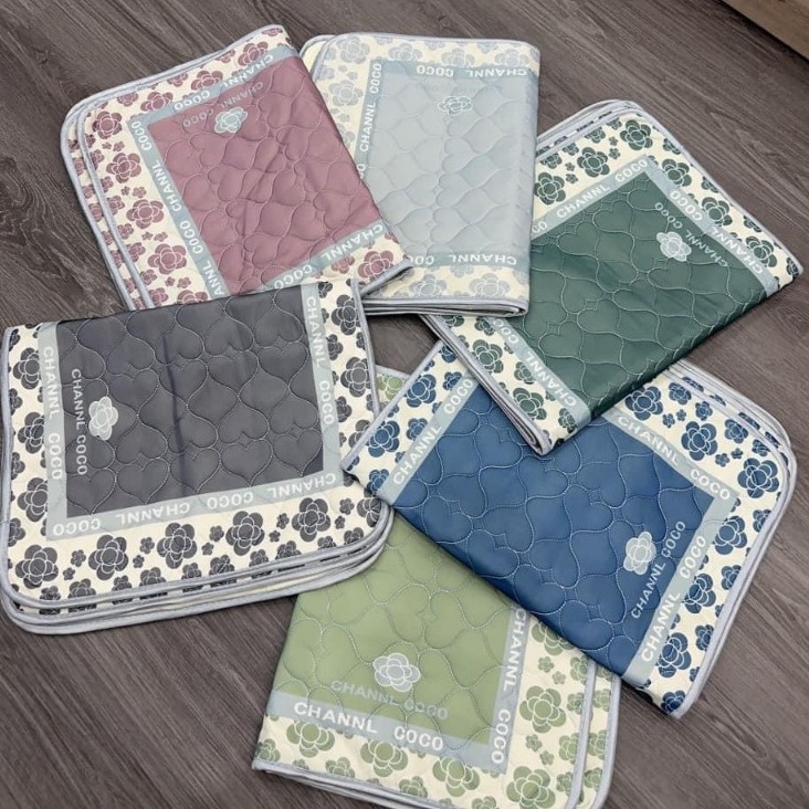 Cặp vỏ gối cao su non mềm mịn thoáng mát Coco 5D