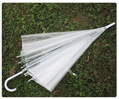 Ô dù trong suốt đi mưa gấp gọn