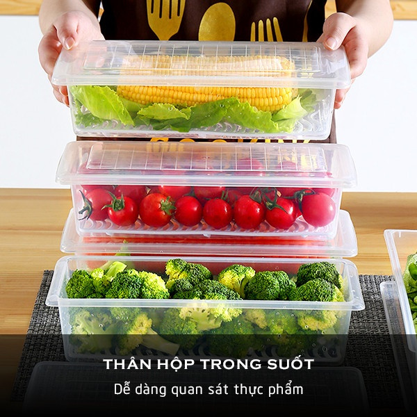Hộp đựng thực phẩm hoa quả Việt Nhật 6586