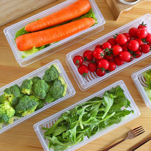 Hộp đựng thực phẩm hoa quả Việt Nhật 6586