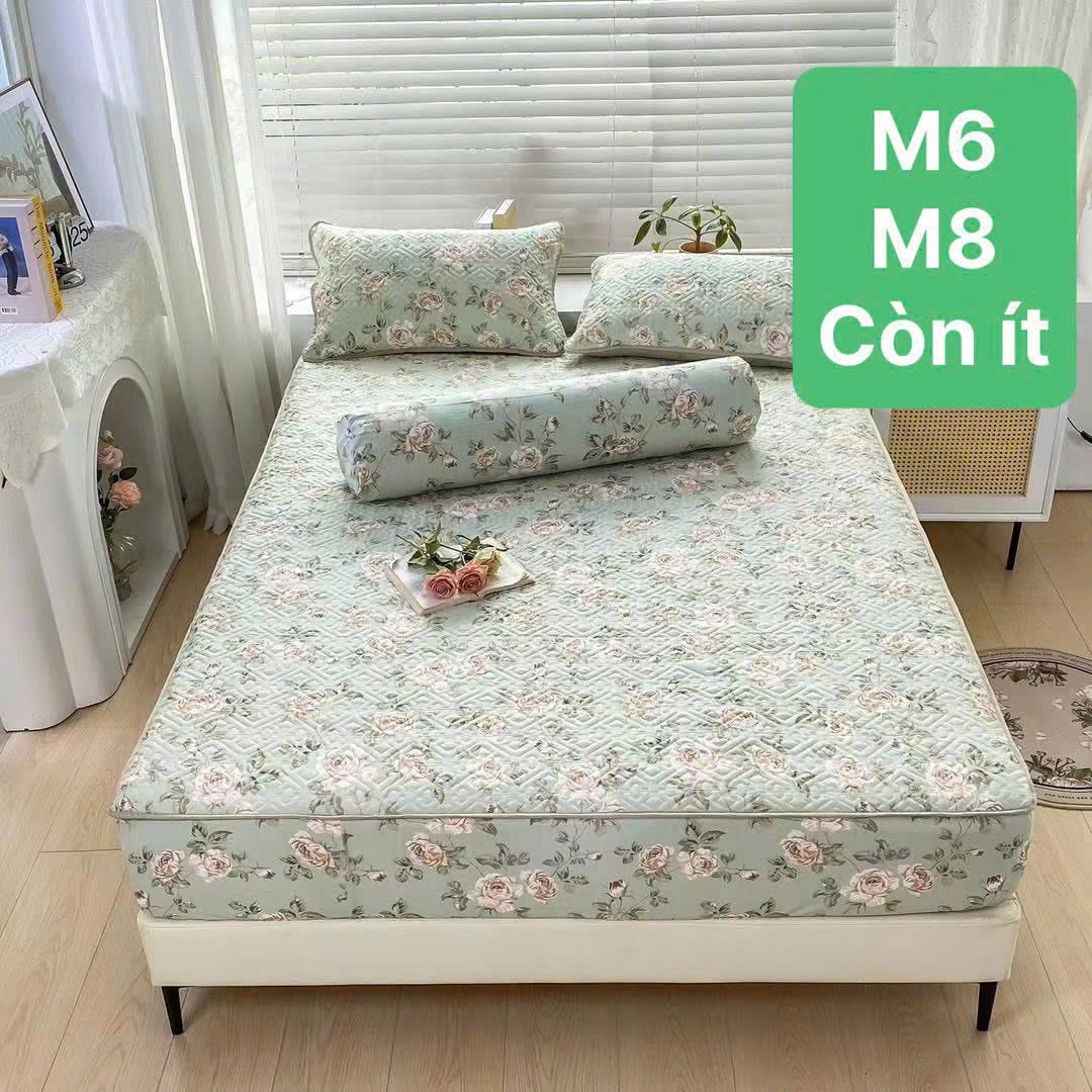 Bộ ga gối cotton đũi Hàn Quốc thoáng mát trần bông 1m6 cao cấp