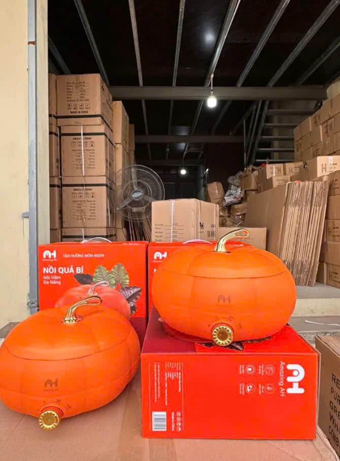 Nồi Nấu Điện Đa Năng Hình Quả Bí Cao Cấp Và Tiện Lợi X603