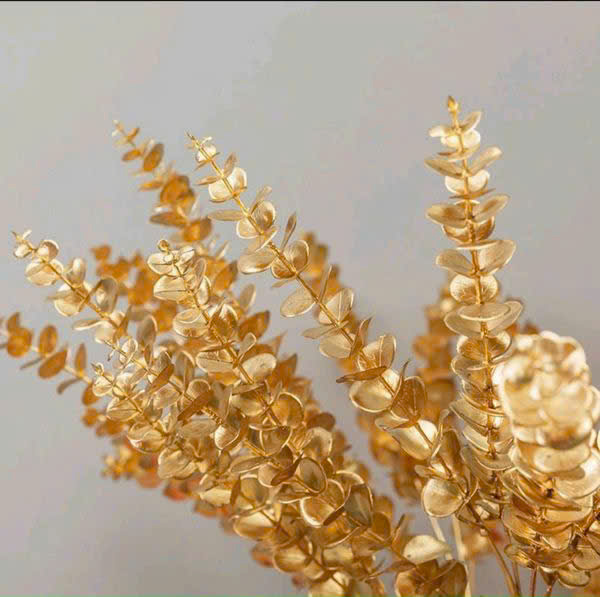 Cành táo nhánh vàng trang trí Tết