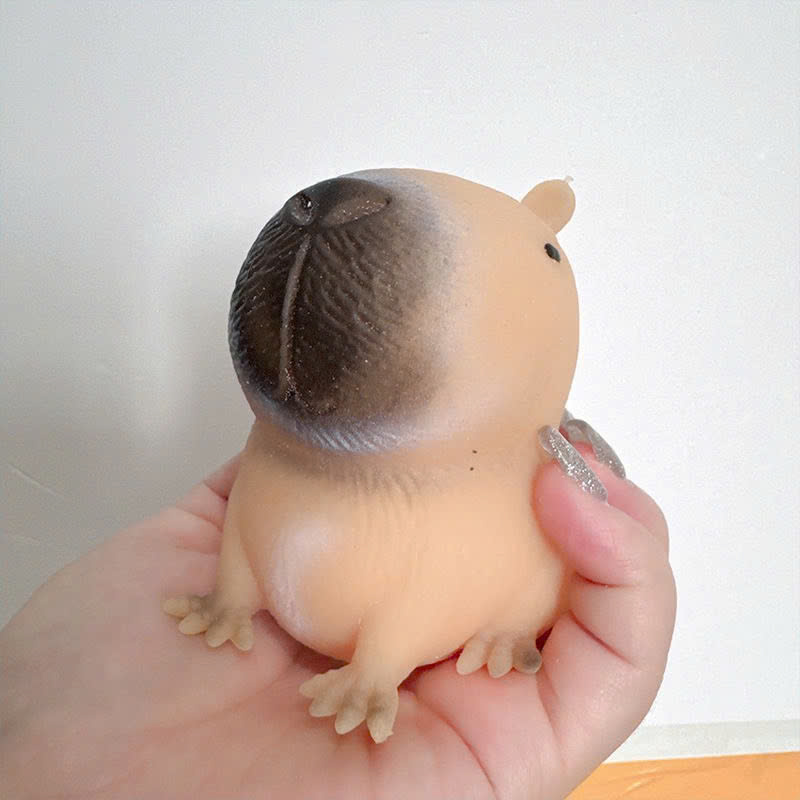 Đồ chơi nắn bóp đàn hồi Capybara dễ thương