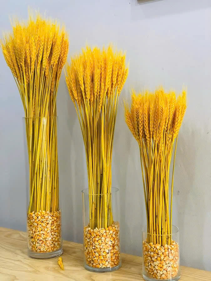 Bó bông lúa tài lộc trang trí nhà cửa