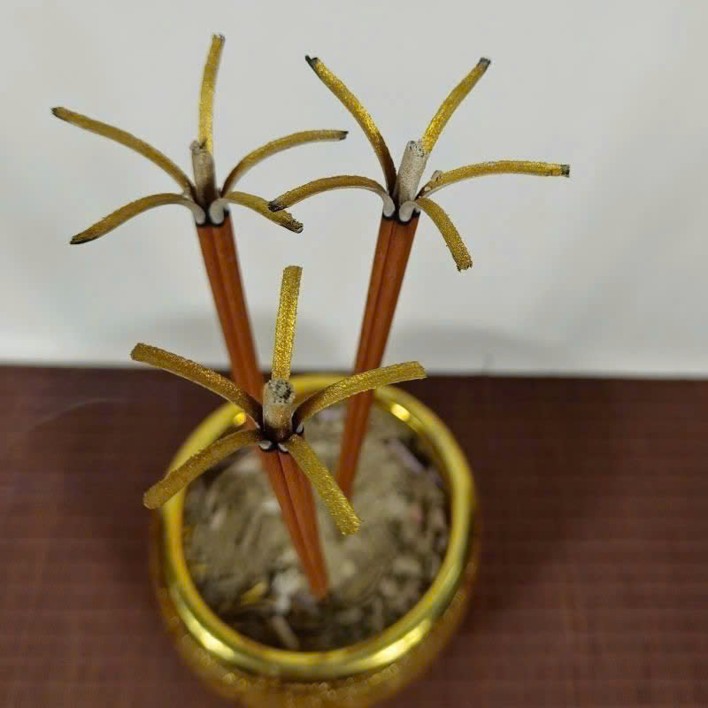 Nhang nở hoa mai 5 cánh siêu thơm thu hút tài lộc