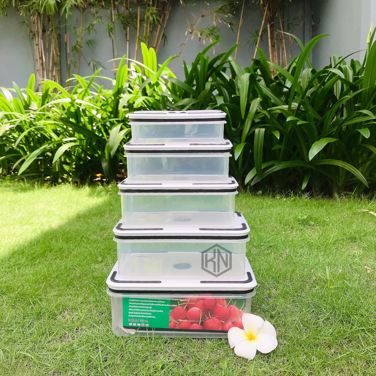 Bộ 5 hộp nhựa đựng thực phẩm nhiều kích cỡ tiện dụng