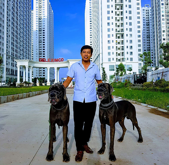 dogtrainingvietnam