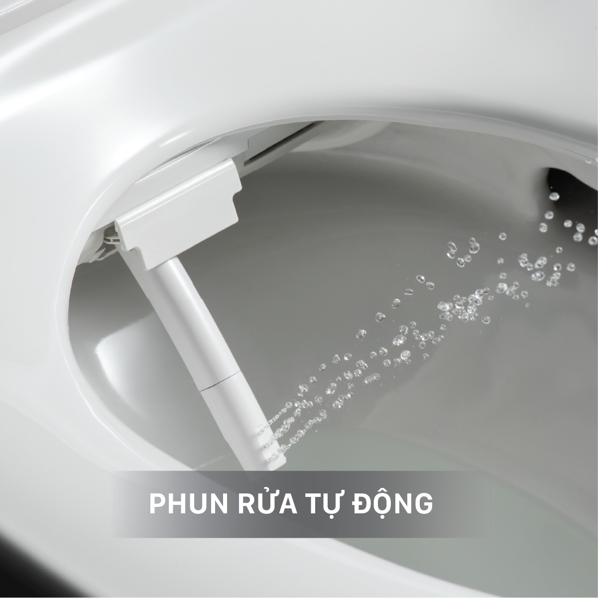 Bồn Cầu Thông Minh INAX  AC-816VN SARAS LIGHT E