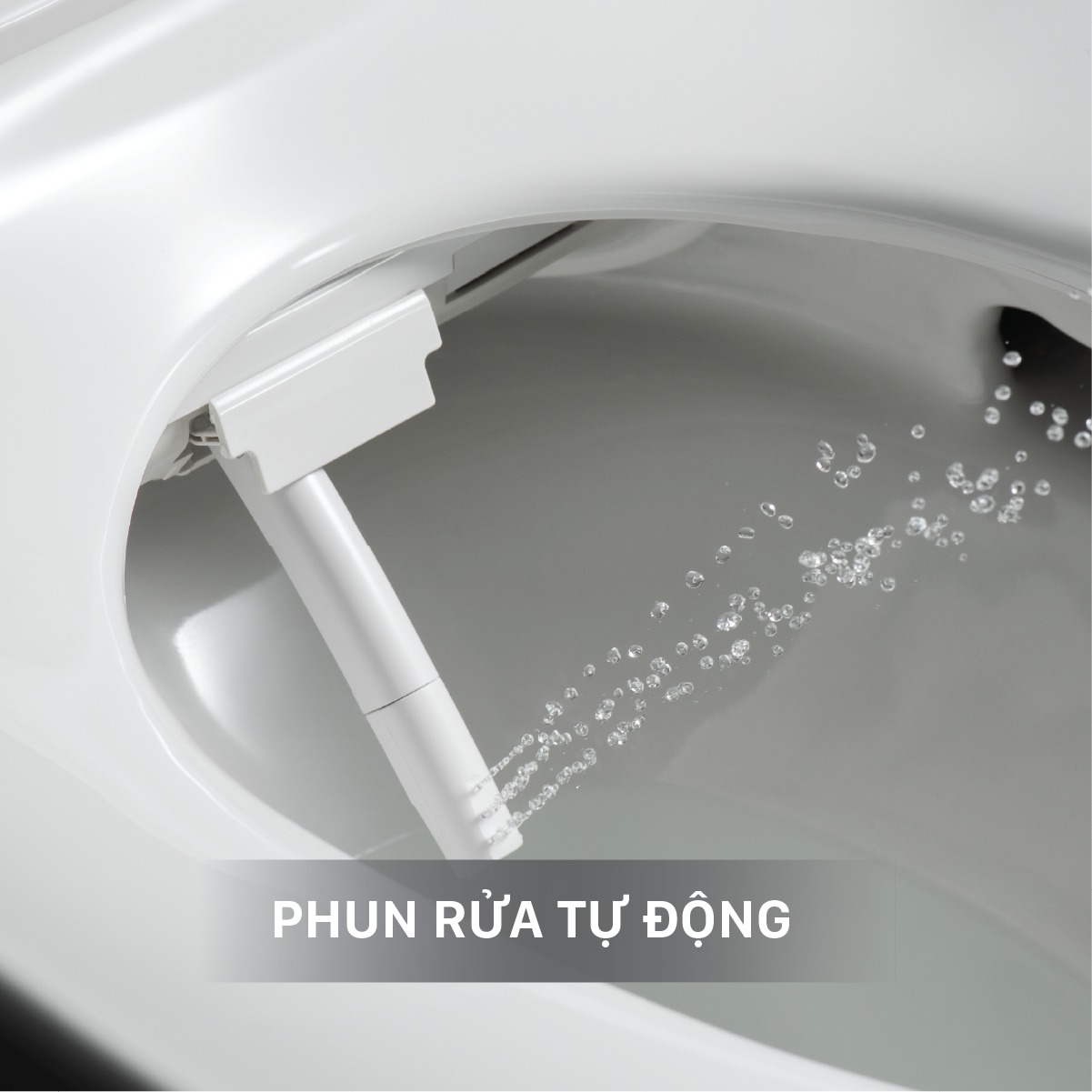 Bồn Cầu Thông Minh Inax  AC-816VN SARAS LIGHT E