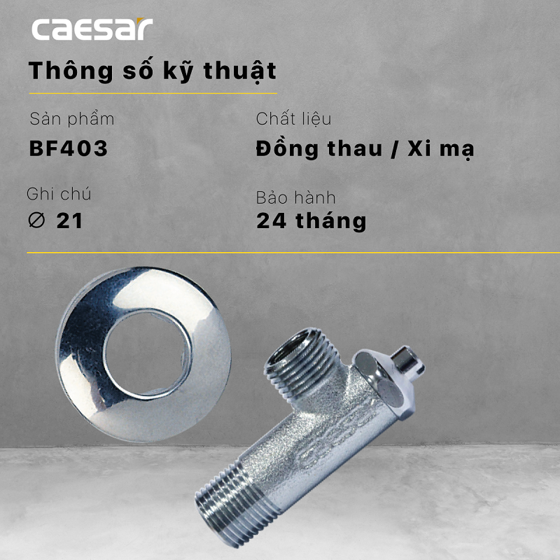 Van khống chế Caesar BF403 xi