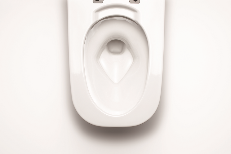 Bồn Cầu Thông Minh INAX  AC-816VN SARAS LIGHT E