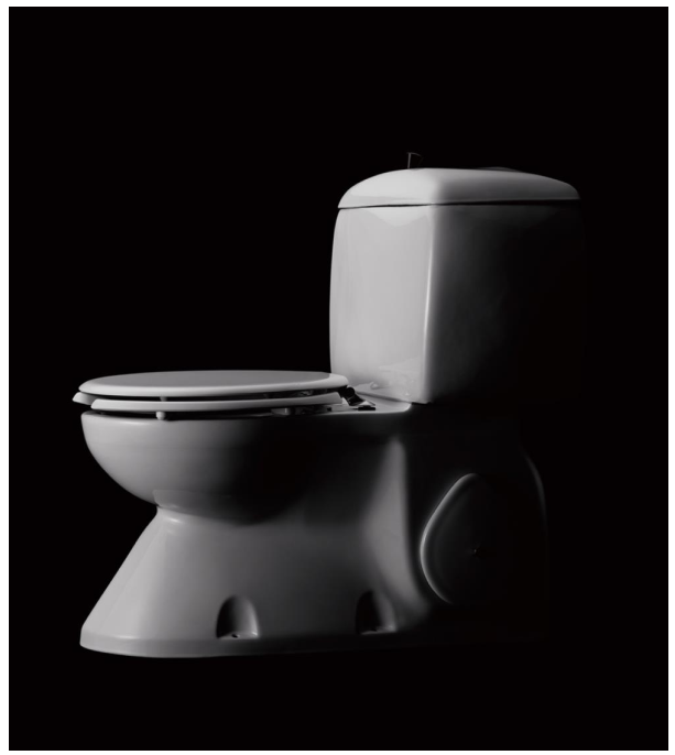 Bồn Cầu Thông Minh INAX AC-819VN/BW1 SARAS Auto Open