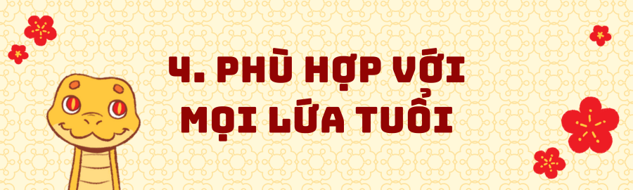 cốc giấy VietCup, Gia đình nhà Rắn, Dự Án Tết Ất Tỵ 2025, mục 1