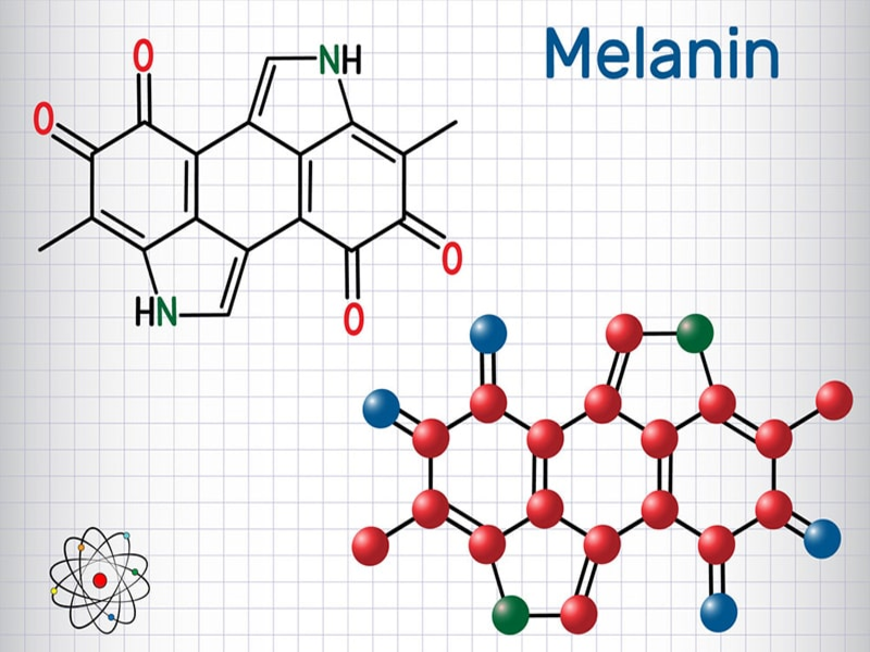 Melanin hoạt chất được sản xuất ở dưới cùng của lớp biểu bì da