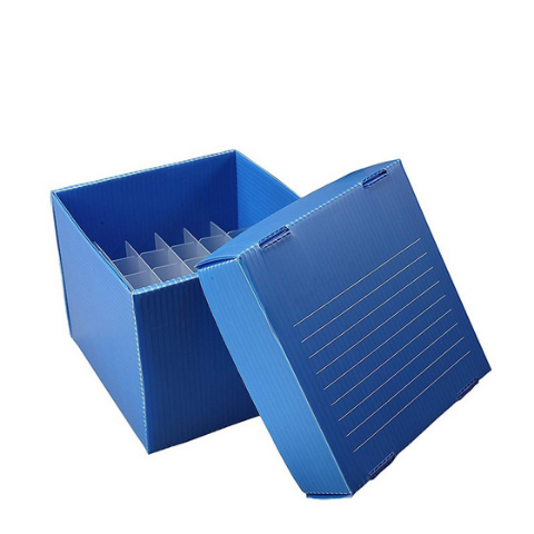 hộp danpla có nắp