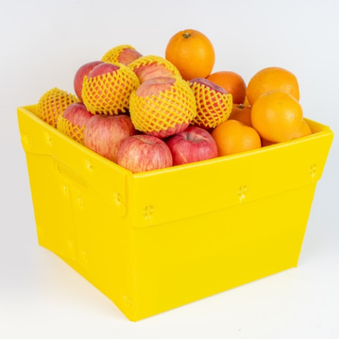 thùng danpla đựng hoa quả