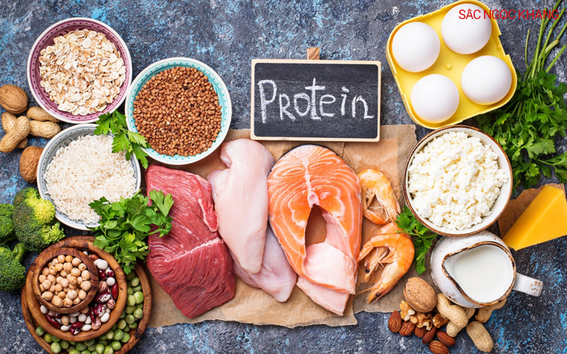 Protein là một yếu tố quan trọng giúp duy trì cân bằng hormone