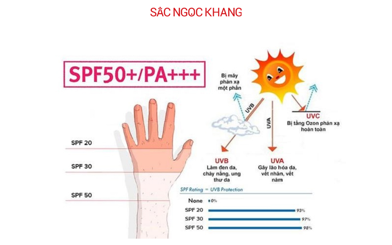 PA (Protection Grade of UVA) là chỉ số đo lường mức độ bảo vệ da khỏi tia UVA