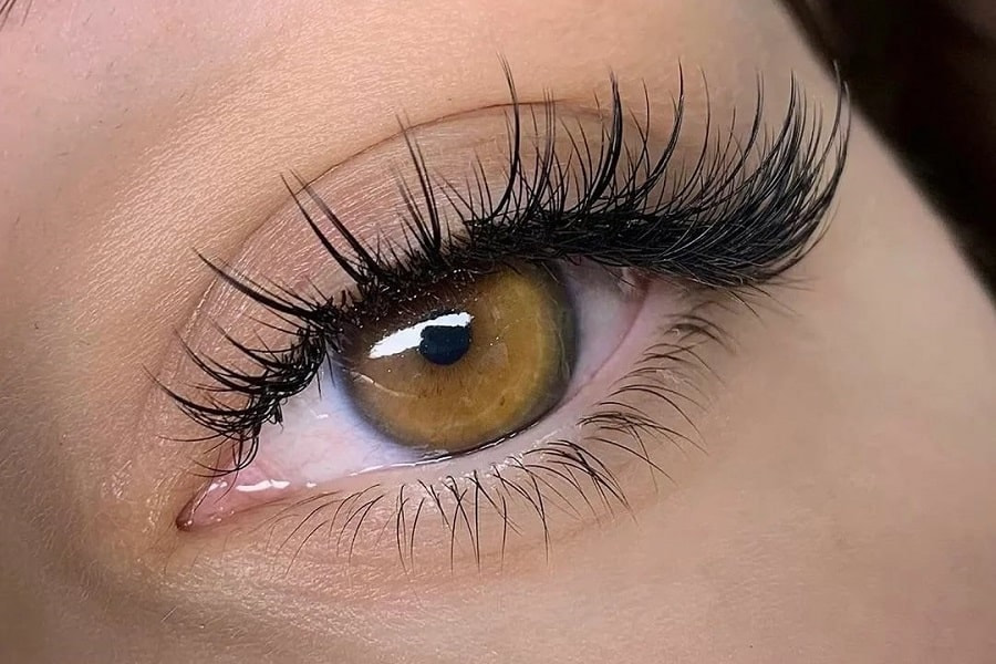 Khám Phá Nối Mi Mắt Mèo – Bí Mật Đôi Mắt Hút Hồn