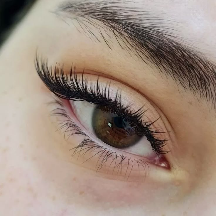 Quy Trình Nối Mi Từng Bước – Chuẩn Từng Sợi, Đẹp Từng Milimet