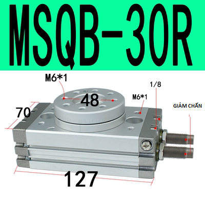 Xi lanh quay MSQB series