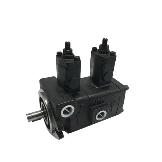 Bơm cánh gạt kép VP20-20